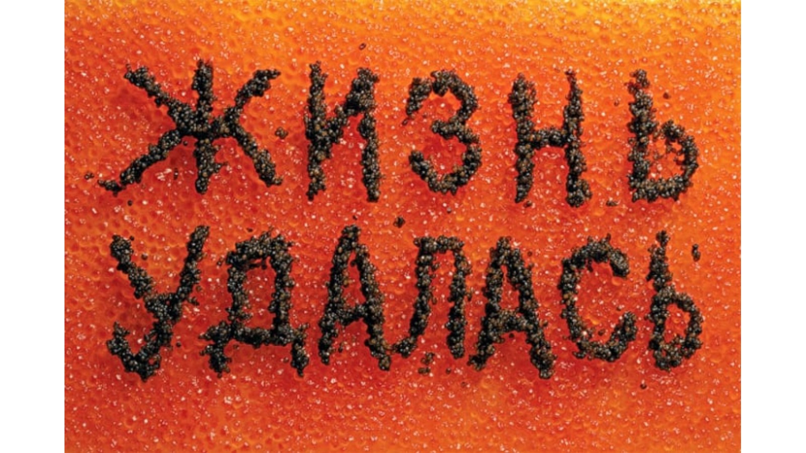 PEPFER X АНДРЕЙ ЛОГВИН
